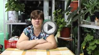 Выращивание кур в домашних условиях для начинающих предпринимателей Выращивание кур в домашних условиях для начинающих предпринимателей