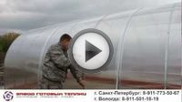 Организация тепличного бизнеса Организация тепличного бизнеса