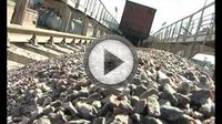 Бизнес на изготовлении асфальта Бизнес на изготовлении асфальта