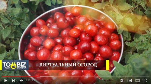 Бизнес идеи с нуля и минимальными вложениями Бизнес идеи с нуля и минимальными вложениями