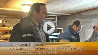 Выращивание индюков в промышленных и домашних условиях Выращивание индюков в промышленных и домашних условиях