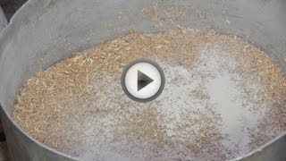 Выращивание гусей как бизнес Выращивание гусей как бизнес