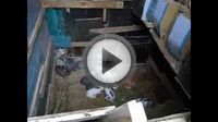 Бизнес план по разведению кроликов Бизнес план по разведению кроликов