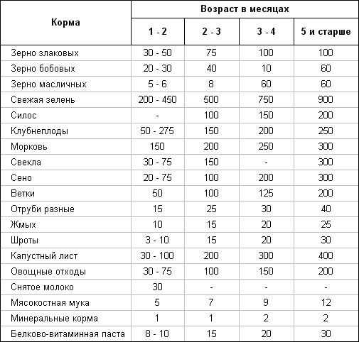 Бизнес план по разведению кроликов Бизнес план по разведению кроликов