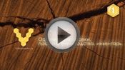 Как заработать на пасеке? Как заработать на пасеке?
