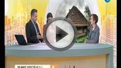 Как заработать на пасеке? Как заработать на пасеке?