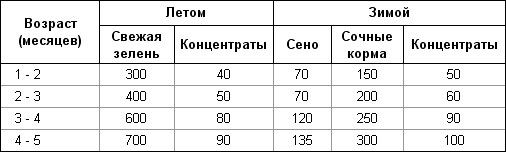 Бизнес план по разведению кроликов Бизнес план по разведению кроликов