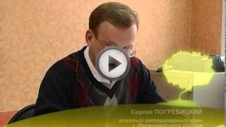 Овцеводство как бизнес для начинающего фермера Овцеводство как бизнес для начинающего фермера