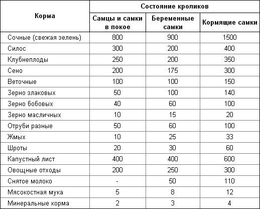 Бизнес план по разведению кроликов Бизнес план по разведению кроликов