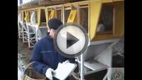 Бизнес план по разведению кроликов Бизнес план по разведению кроликов
